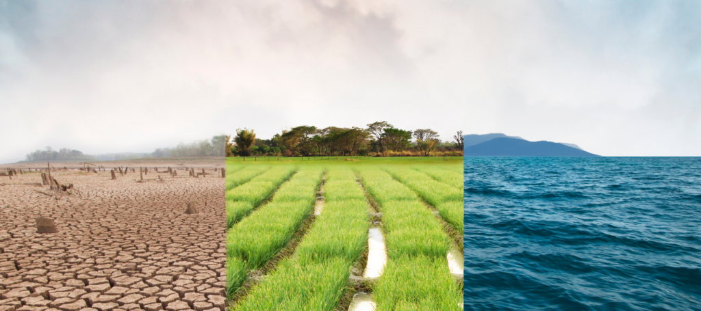 A panoramic with 3 different environments used as a thumbnail for the web hosting blog
